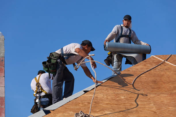 Best Roof Gutter Cleaning  in West Point, GA